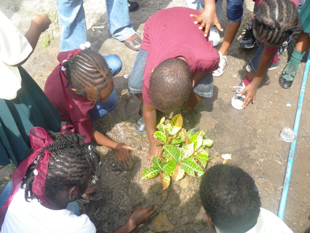 Students beautify their surroundings at the Ivor Walters Primary School.