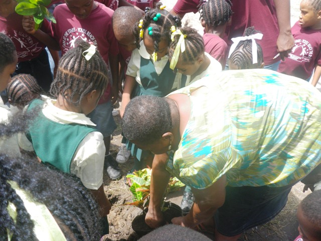 Brown Hill village resident assists students of the Ivor Walters Primary School with their beautification initiative