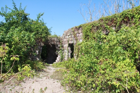  A section of the New River Estate Heritage Site overgrown by vegetation as a means of protection to deter would be thieves from stealing more stones from ruins