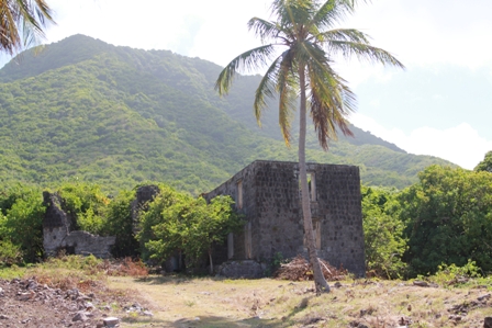A section of Eden Brown Estate designated a Heritage Site on Nevis. Recent site clearing revealed stolen stones from the historic house