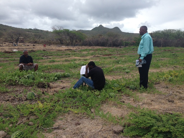 Executive Producer of Agriculture in Style and Permanent Secretary in the Ministry of Agriculture Eric Evelyn (standing) Kerry Williams of the Department of Information filming an episode with a farmer on a watermelon farm in Nevis
