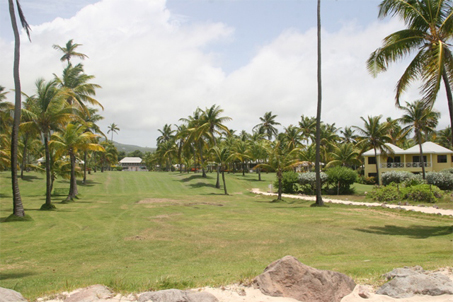 Nisbet Plantation Beach Club’s Coconut Walk from the beach with the Great House in the distance (file photo)