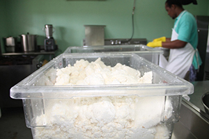 Cassava meal in process at the Nevis Agro Processing Centre