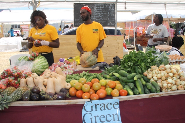 Grace Green’s booth with agricultural produce on display at the Department of Agriculture’s Open Day 2015 at the Villa Grounds in Charlestown on the second day of the two-day event on March 27, 2015