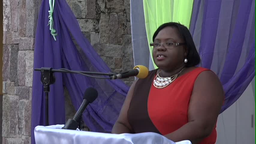 Junior Minister of Social Development on Nevis Mrs. Brandy-Williams delivering remarks at the Women of Excellence Awards Ceremony and Cocktail on March 29, 2015 at the Nevis Performing Arts Centre’s courtyard 