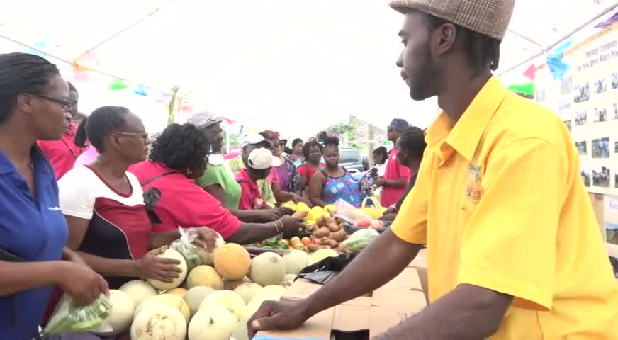 Patrons buying fruits, root crops and vegetables at the New River Farmers Co-operative Society’s 1st New River Day on May 20, at New River