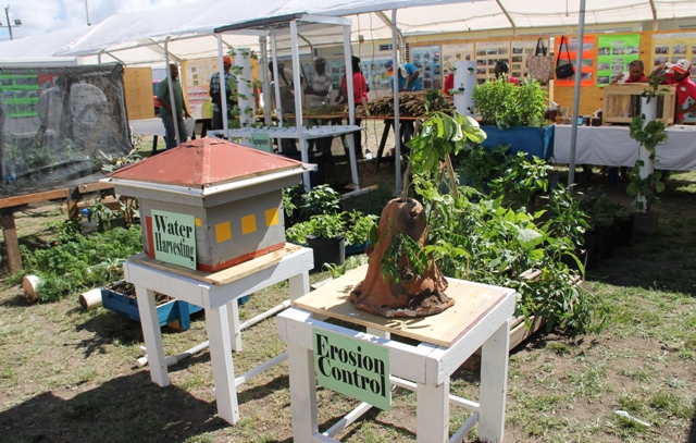 An exhibit at the 2016 Agriculture Open Day at the Villa Grounds in Charlestown (file photo)