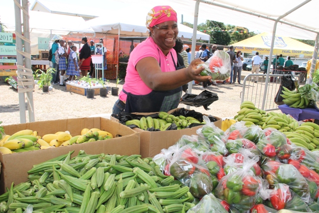 A happy vendor serving patrons her local produce at the 23rd Annual Agriculture Open Day hosted by the Ministry and Depart of Agriculture in the Nevis Island Administration at the Villa Grounds, Charlestown on March 30, 2017