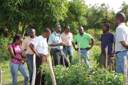(Fourth from left) Minister of Agriculture on Nevis Hon. Robelto Hector, (fifth from left is Permanent Secretary in the Ministry of Agriculture Dr. Kelvin Daly, (extreme right) Director of Agriculture Mr. Keithley Amory with Agriculture Extension Officers touring the farm of (second from right) Farmer Mr. Mansa Tyson at Cades Bay