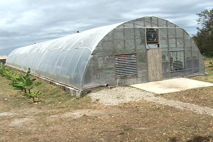 Green House at Prospect Agricultural station