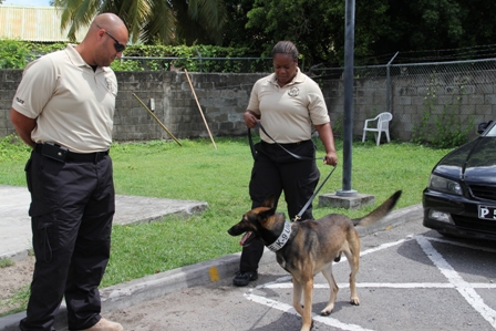 officers_and_dog_24-5-2012