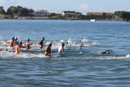 Some participants in the first MaccaX Nevis International Triathlon held in Nevis on November 16, 2013 swimming at Gallows Bay at the start of the race