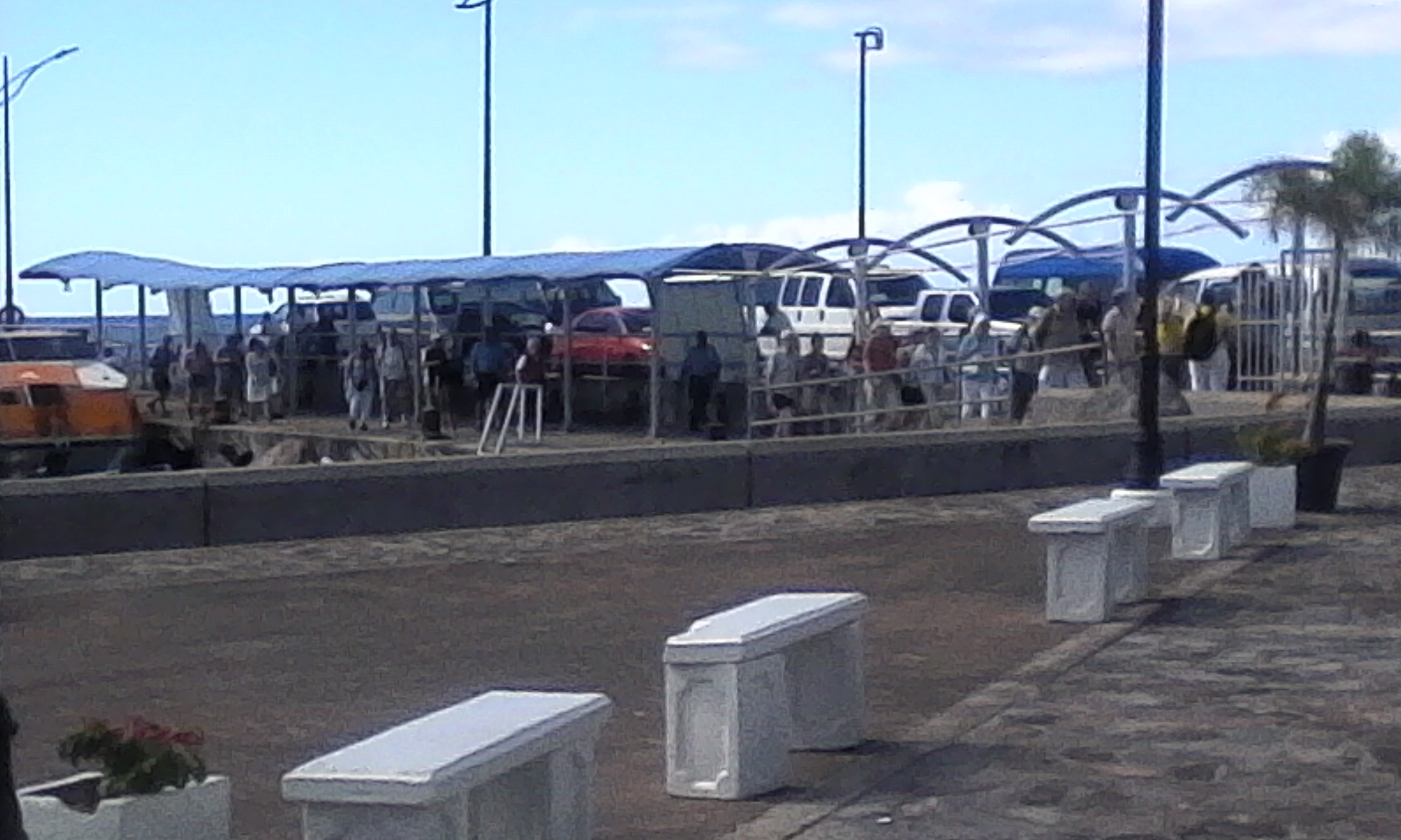 Taxi-tour buses line Charlestown pier as cruise passengers arrive