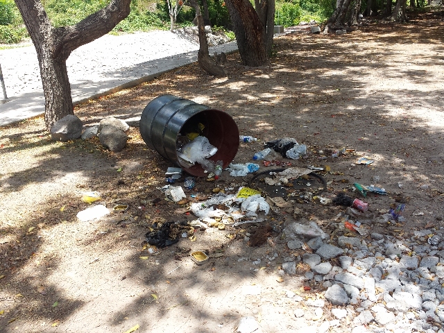 One of the garbage bins overturned by marauding animals at the Bath Stream grounds