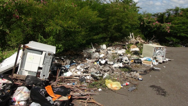 Some of the garbage illegally dumped at Nugent Heights