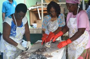 Participants learning the dying tradition of tanning animal skins at a Tanning Workshop hosted by the Small Business Enterprise Unit on Nevis at the grounds of the Department of Agriculture in Prospect on March 04, 2016