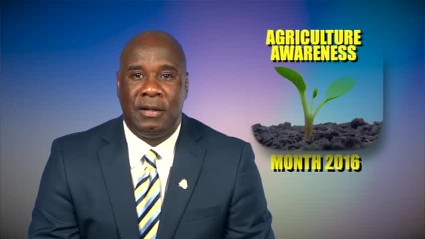 Minister of Agriculture on Nevis Hon. Alexis Jeffers
