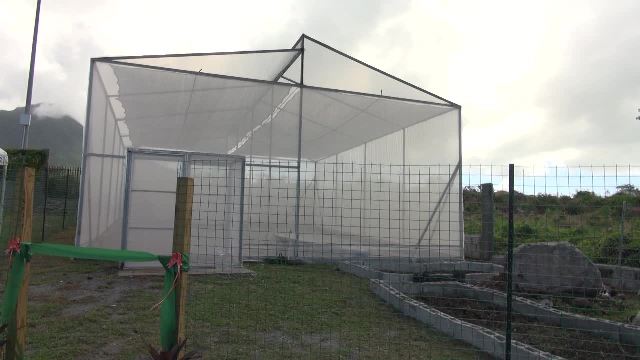 The shade house donated to the Charlestown Primary School by the Government and people of New Zealand through the efforts of Augustine Merchant, Coordinator of the Inter-American Institute for Cooperation on Agriculture (IICA) office in St. Kitts and Nevis and the St. Kitts Nevis Agricultural Youth Forum