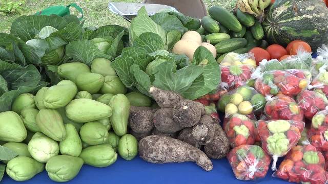 Root crops and vegetables for sale at the New River Farmers Cooperative Open Day at New River on May 19, 2017