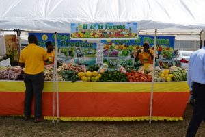 A variety of farm produce from H&H Farms in Gingerland’s booth at the at the Department of Agriculture’s 24th Annual Open Day at the Villa Grounds in Charlestown