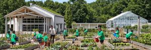 Students at the Edible Academy at the New York Botanical Gardens (photo courtesy the NYBG)