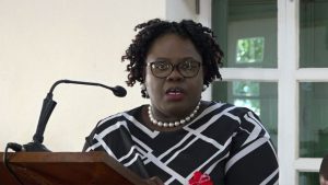 Hon. Hazel Brandy-Williams, Junior Minister of Health on Nevis delivers her presentation at the Nevis Island Assembly sitting on December 06, 2018