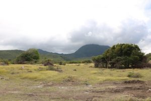 Another section of University Heights which is earmarked for the Nevis Island Administration’s housing development project through the Nevis Housing and Land Development Corporation for returning university graduates