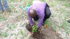 Hon. Alexis Jeffers, Deputy Premier of Nevis and Minister of Agriculture, plants the first fruit tree at the government-owned farm in Cades Bay on May 07, 2019, the first of 500 to be planted on the island as part of Agriculture Awareness Month 2019