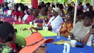 A section of the seniors of Nevis attending the “Afternoon of the lawn” on the grounds of Government house at Bath Plain on October 31, 2019 hosted by the Department Department of Social Services, Senior Citizens Division