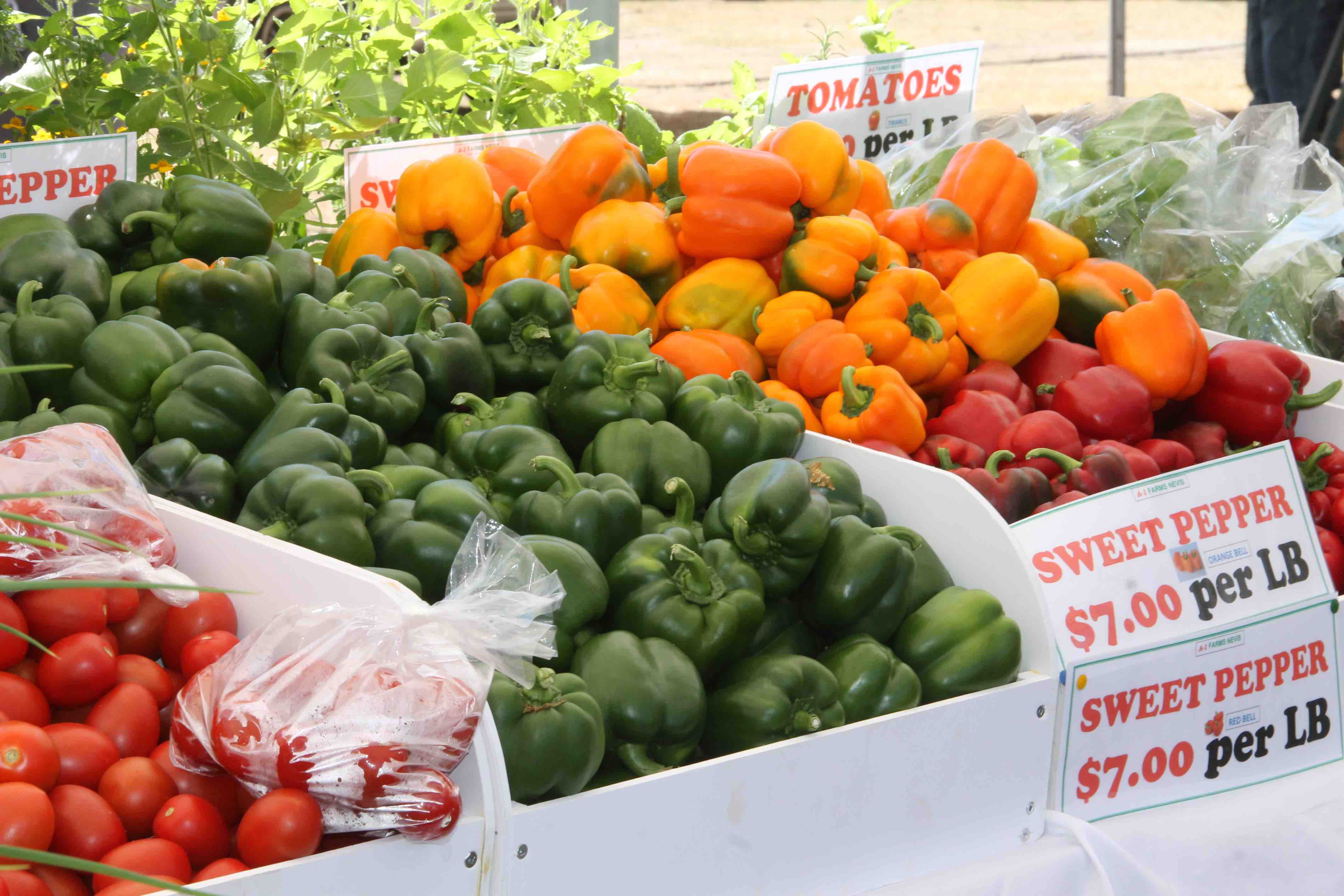 Tomatoes and sweet peppers grown on Nevis (file photo)