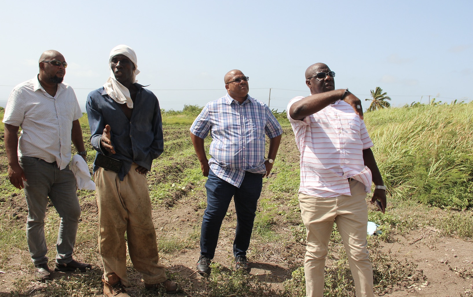 l-r) Mr. Huey Sargeant, Permanent Secretary in the Ministry of Agriculture on Nevis; Mr. Ron Dublin-Collins, Permanent Secretary in the Ministry of Agriculture in St. Kitts (third from left); and Hon. Alexis Jeffers, Minister of Agriculture on Nevis and Minister of Agriculture in the Federal government; with Mr. Godwin “Mike” Browne (second from left) on his farm at New River during a tour on July 28, 2020