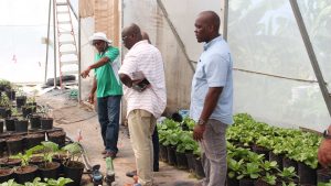 (l-r) Mr. Mc Levon “Mackie” Tross Owner and Manager of A-1 Farms in Gingerland on Nevis takes Mr. Ron Dublin-Collins, Permanent Secretary in the Ministry of Agriculture in St. Kitts, Hon. Alexis Jeffers, Minister of Agriculture in the Nevis Island Administration and also in the Ministry of Agriculture in St. Kitts; and Mr. Randy Elliott, Director of the Department of Agriculture on a tour around his farm recently