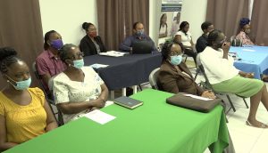 A section of the participants attending the opening ceremony of the Small Business Boot Camp hosted by the Ministry of Health and Gender Affairs in the Nevis Island Administration at the GMBC Building in Charlestown on October 19, 2020