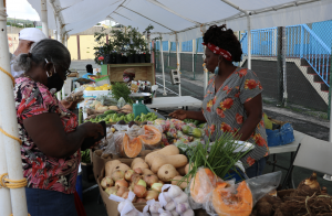 Local fruits and vegetables on sale at World Food Day activities at the Cultural Village in Charlestown on October 17, 2020