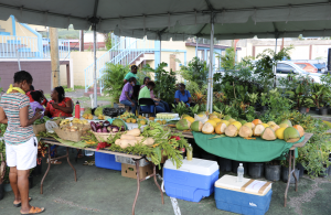 A horticultural display at World Food Day activities at the Cultural Village in Charlestown on October 17, 2020