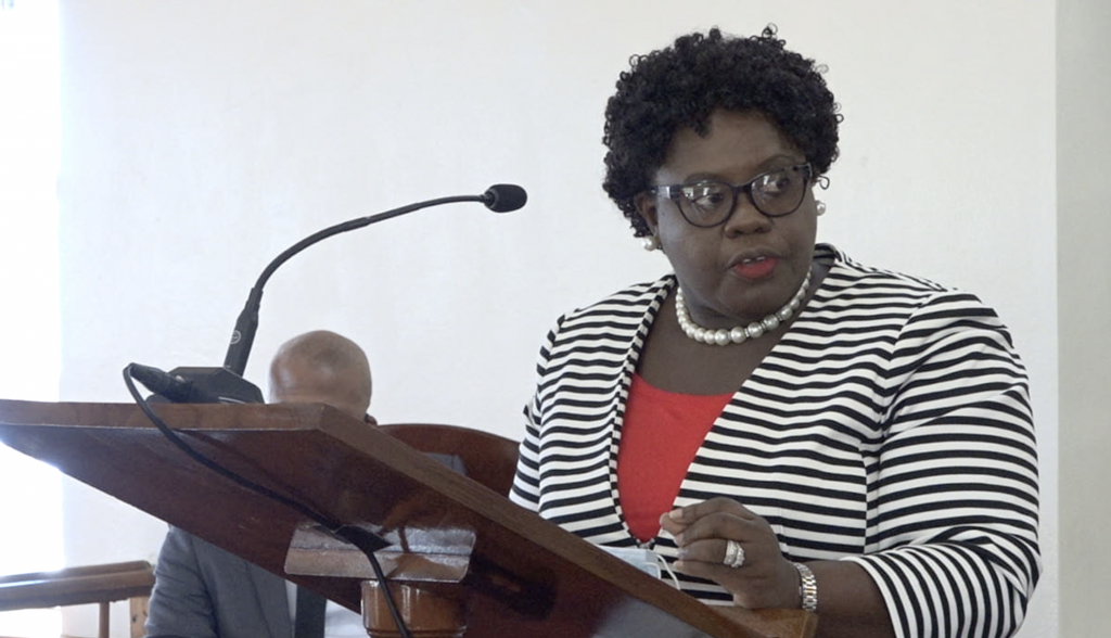 Hon. Hazel Brandy-Williams, Junior Minister of Health in the Nevis Island Administration making her presentation at a sitting of the Nevis Island Assembly on November 05, 2020