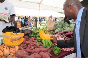 Hon. Alexis Jeffers, Minister of Agriculture in the Nevis Island Administration gets a closer look at local produce at a farmer’s booth at Agriculture Open Day (file photo)