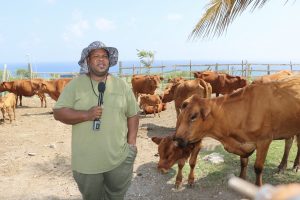 Mr. Rohan Claxton, Livestock Extension Officer, with responsibility for Production on the Maddens Stock Farm surrounded by cattle at the farm on October 29, 2021  