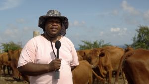 Mr. Rohan Claxton, Livestock Extension Officer with responsibility for Production on the Maddens Stock Farm