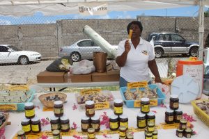 Mrs. Olvis Dyer of blessed memory, an agro processor of Stoney Grove left her mark on the Agro Processing Sector in Nevis with her wide range of home-made traditional confectionary, jams and jellies under her brand “Dypresco” and her famous mango ice lollies (file photo)