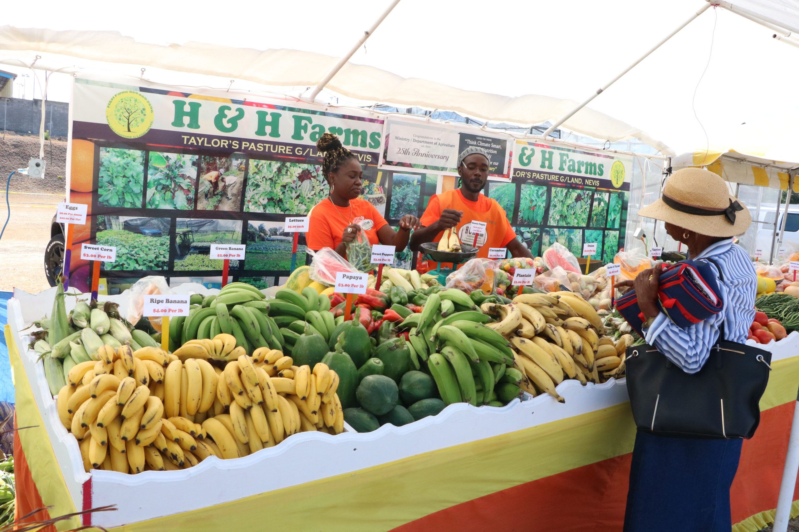 A scene from the Department of Agriculture’s Open Day (file photo)