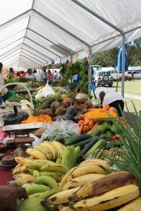 Another scene from the Department of Agriculture’s Open Day (file photo)