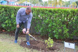 Hon. Mark Brantley, Premier of Nevis plants an ornamental plant at Government House on March 14, 2022 to mark Commonwealth Day 2022