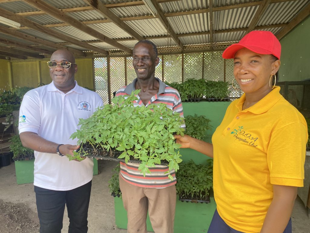 Hon. Alexis Jeffers, Minister of Agriculture (left), and Ms. Rhonda Vyphius, Propagation Officer (right), present seedlings to Mr. Mike Browne, one of 12 commercial farmers on May 31, 2022