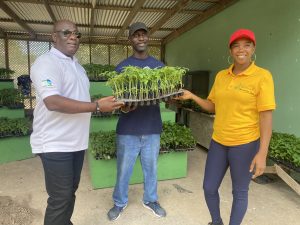 Hon. Alexis Jeffers, Minister of Agriculture (left), and Ms.  Rhonda Vyphius, Propagation Officer (right), present seedlings to Mr. Lorne Hanley one of 12 commercial farmers on May 31, 2022