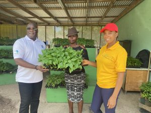 Hon. Alexis Jeffers, Minister of Agriculture (left), and Ms.  Rhonda Vyphius, Propagation Officer (right), present seedlings to a representative for Mr. Dan Liburd, one of 12 commercial farmers on May 31, 2022